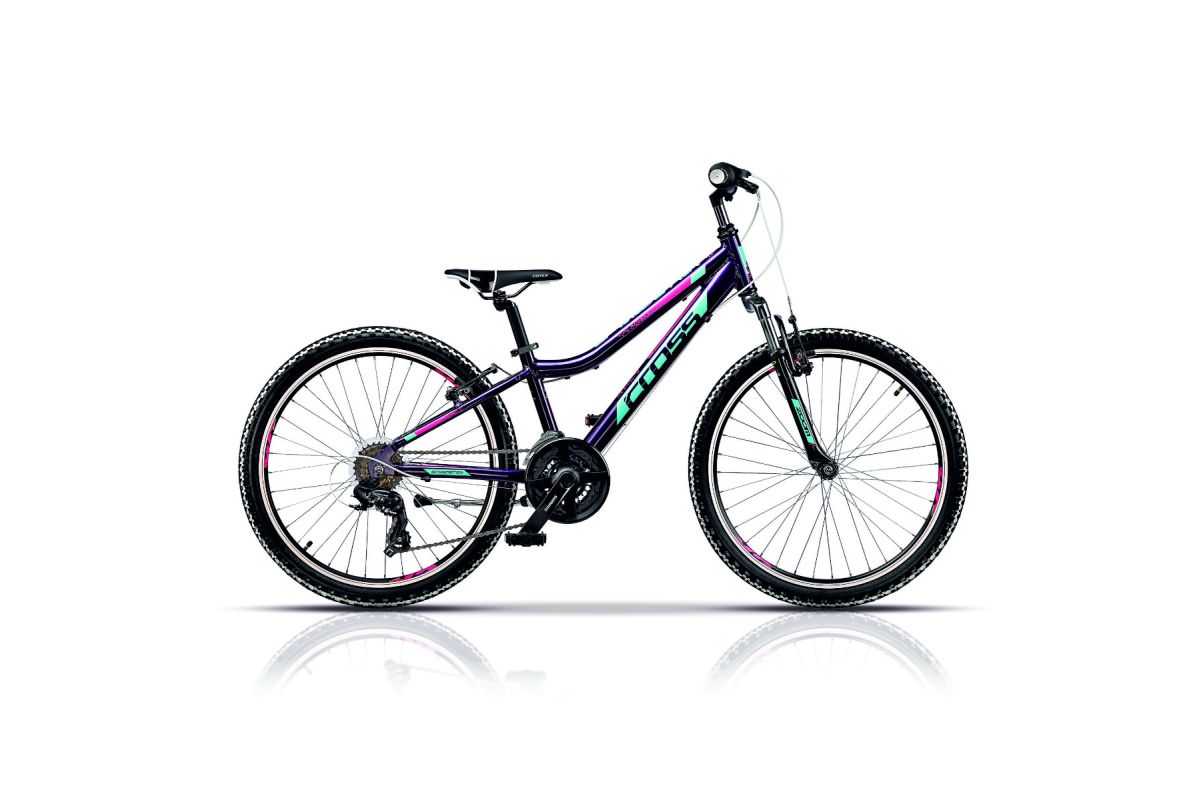 SPEEDSTER 24" GIRL