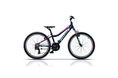 SPEEDSTER 24" GIRL